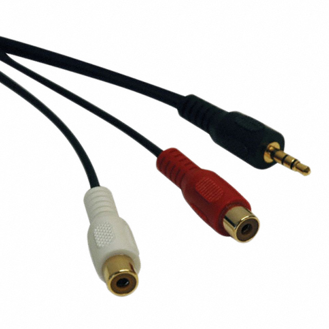 Y SPLITTER 3.5MM M 2 RCA F 6'