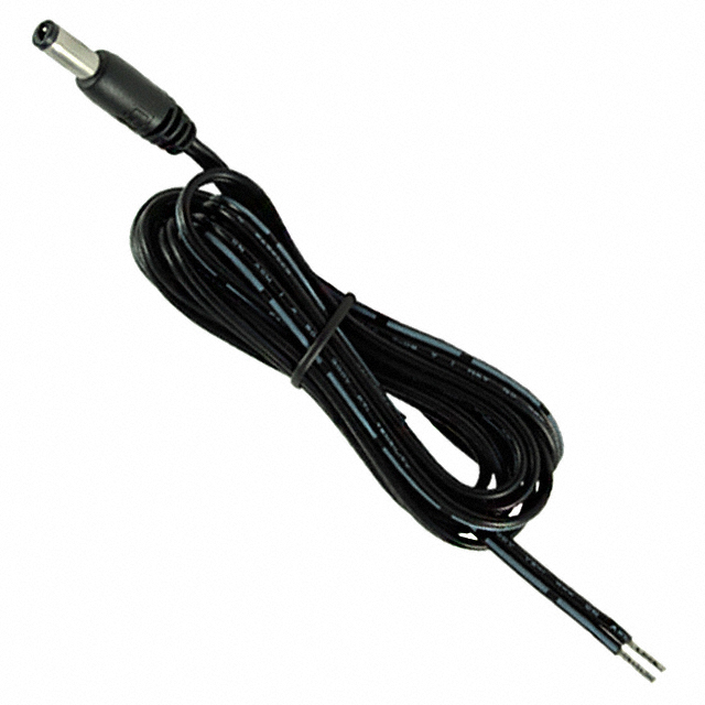 CBL ASSY 2.1MM PLG-CBL FLAT 6'