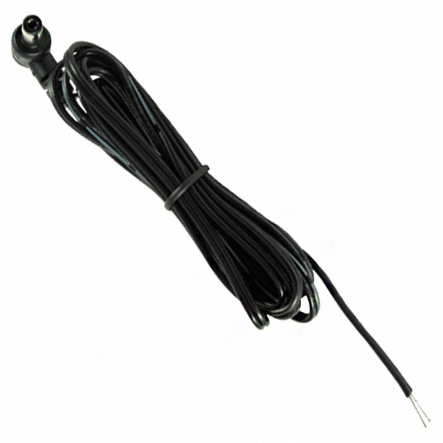 CBL ASSY 2.1MM PLG-CBL FLAT 6'