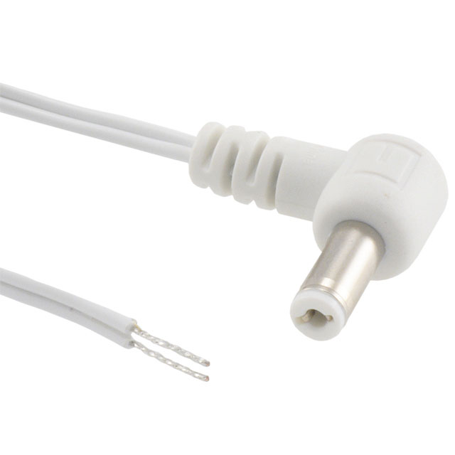 CBL ASSY 2.5MM PLG-CBL FLAT 6'