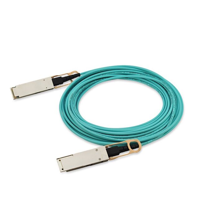 FCBN425QE2C03