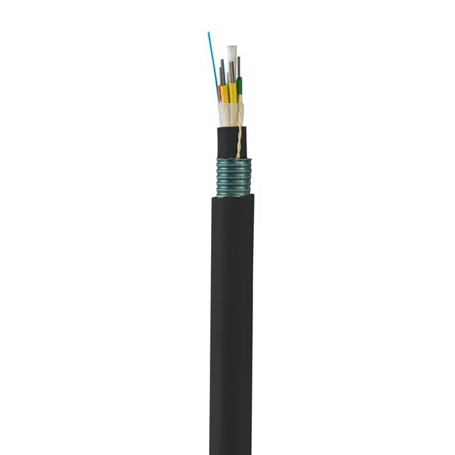 FAMCZ1A-24