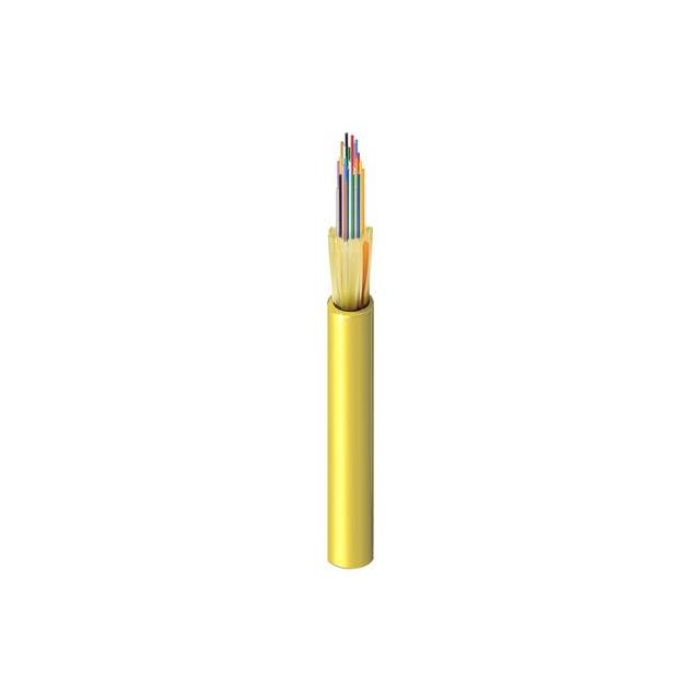 FISD024P9