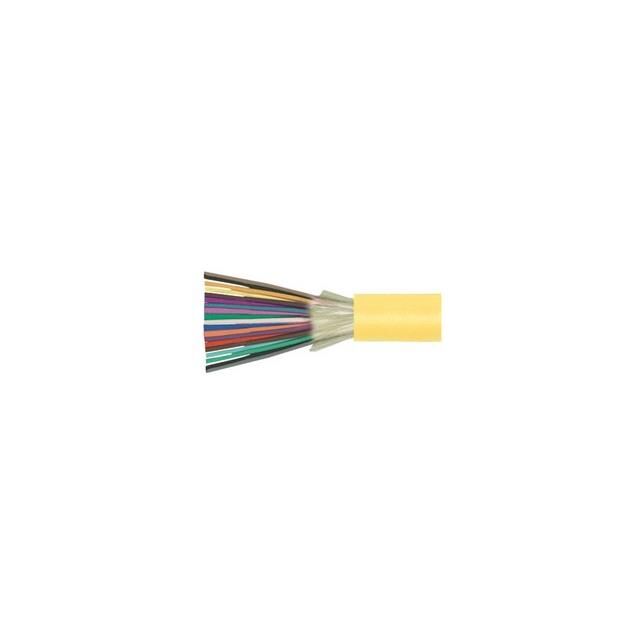 FOBSNGD24-M