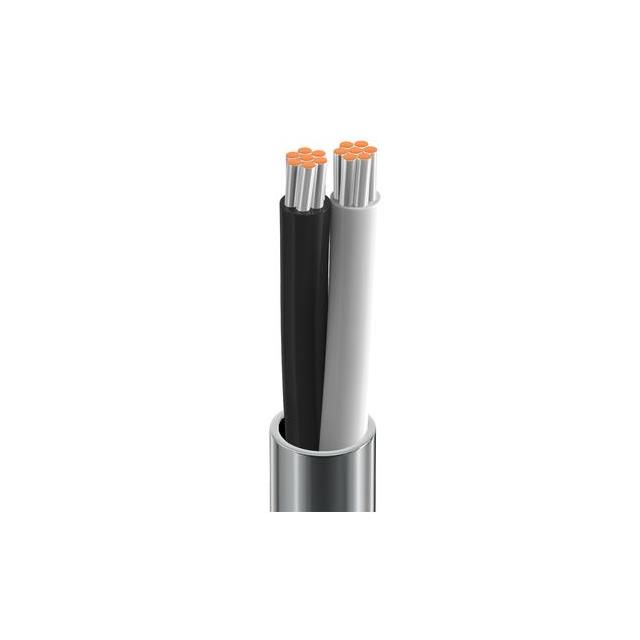 CABLE 2COND 18AWG CHROME FOOT