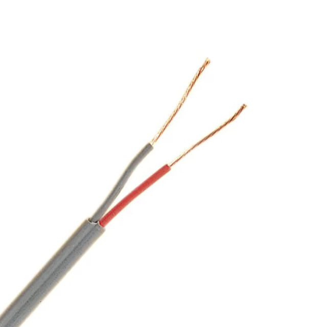 NON-COMPENSATING EXTENSION WIRE,