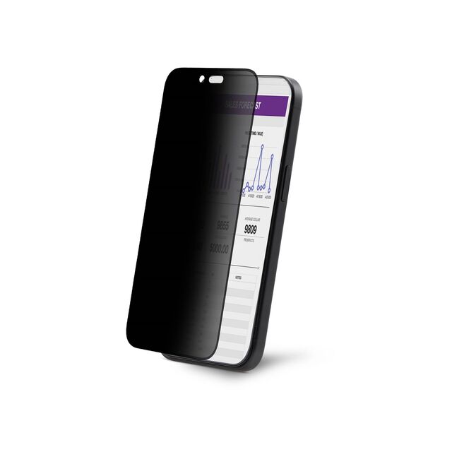 4-WAY PRIVACY SCREEN IPHONE 16