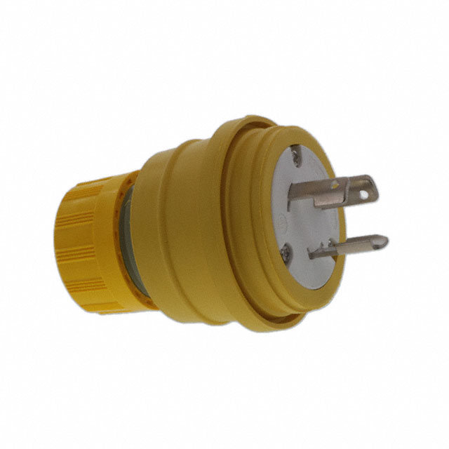 AC PLUG NON-NEMA