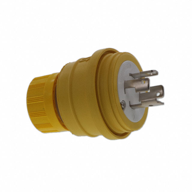 AC PLUG NON-NEMA