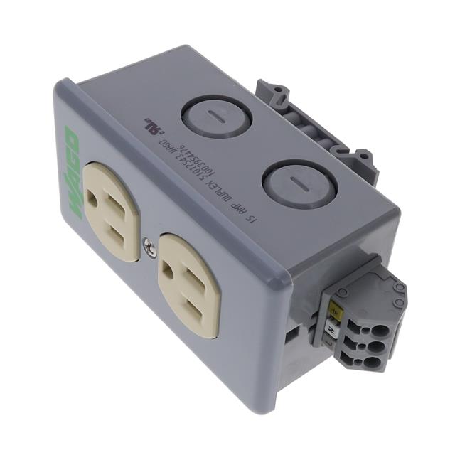 DUPLEX RECEPTACLE, 15A, 120VAC,