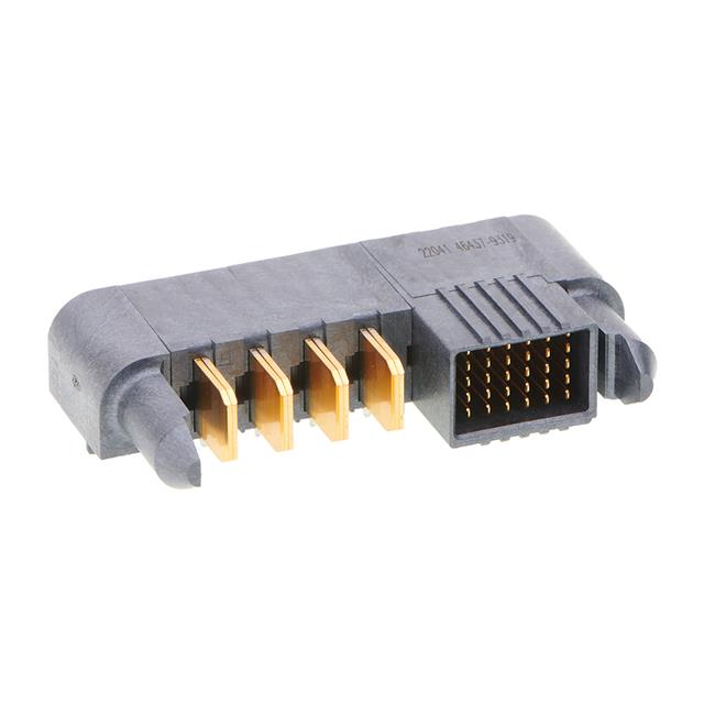 RA PLUG TEN60 G-4P-30S-G