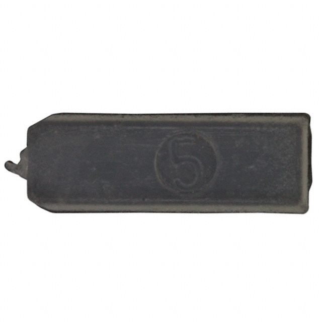 KEYING PLUG