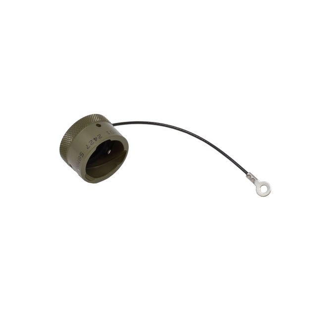 PROTECTIVE COVER FOR PLUG
