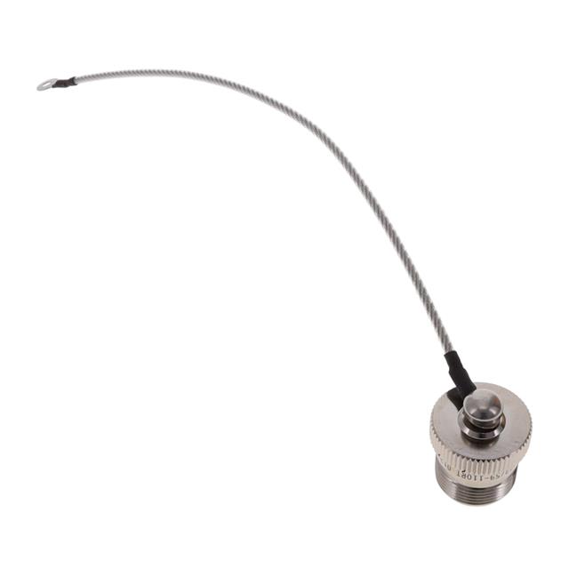 DUST CAP SZ 10 PLUG THREADED 8IN