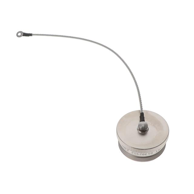 DUST CAP SZ 24 PLUG THREADED 8IN