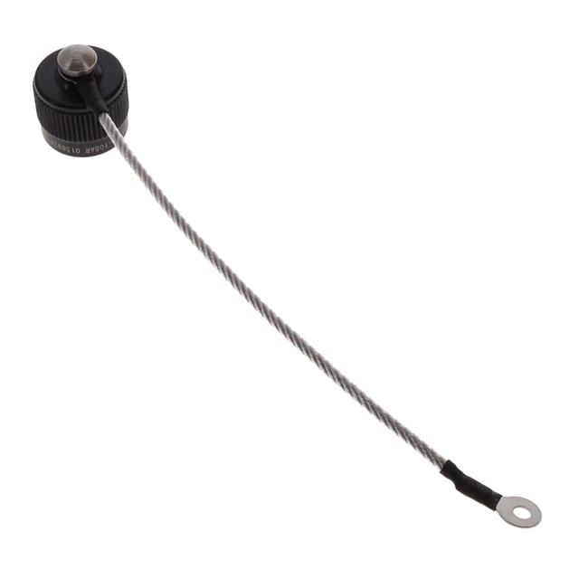 DUST CAP SZ 8 RECEPTACLE THREADE
