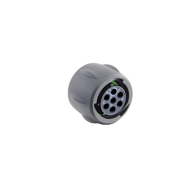 PLUG, WITHOUT BACKSHELL, WITH 7