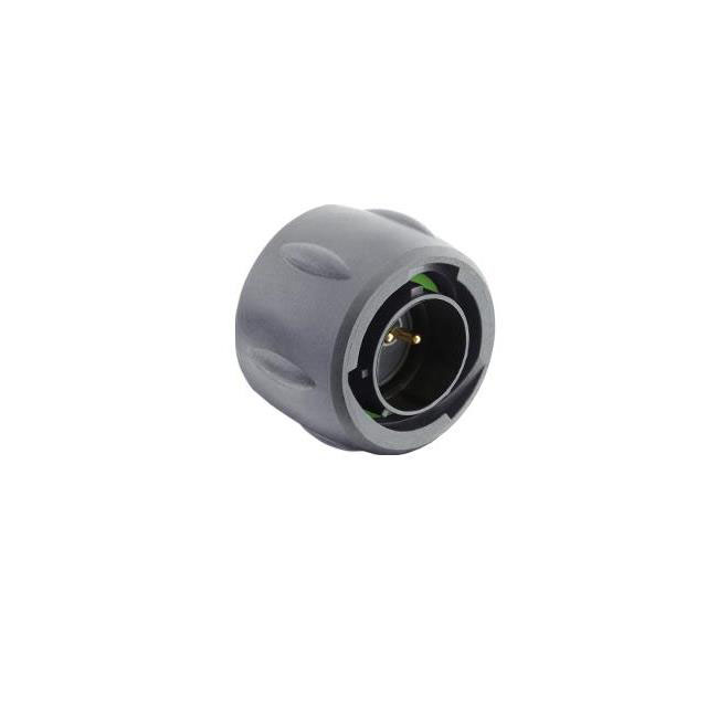 PLUG, WITHOUT BACKSHELL, WITH 2