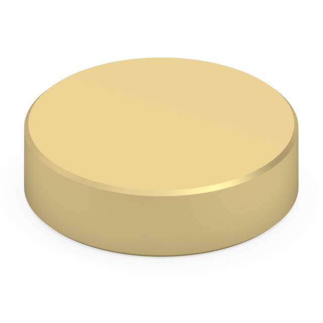 .125" DIAMETER TARGET DISC