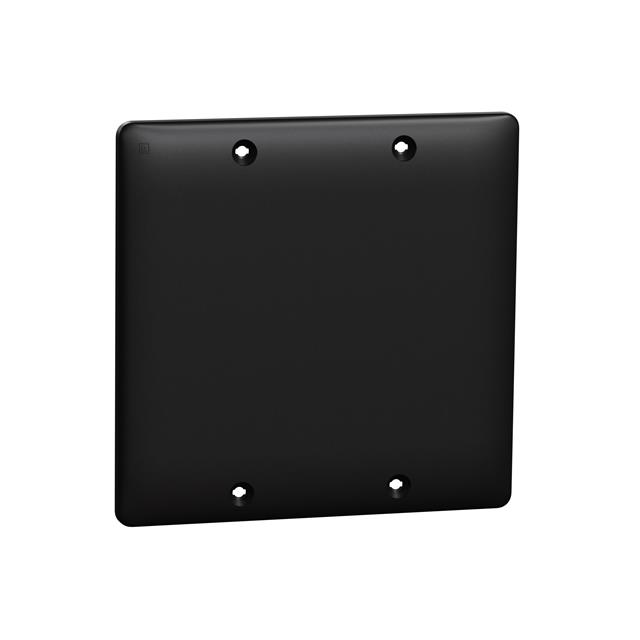 2 GANG BLANK WALL PLATE BK