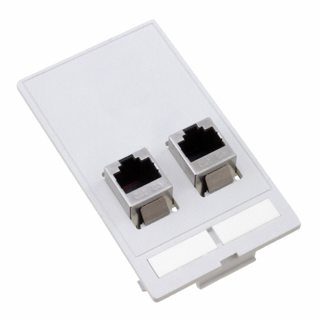 INSERT RJ45 JACK DUAL COUPLER
