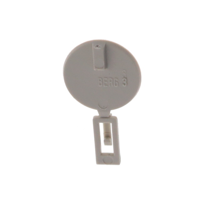 POLARIZING KEY