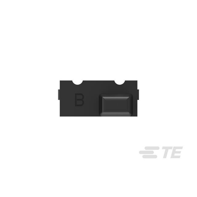 WEDGE LOCK