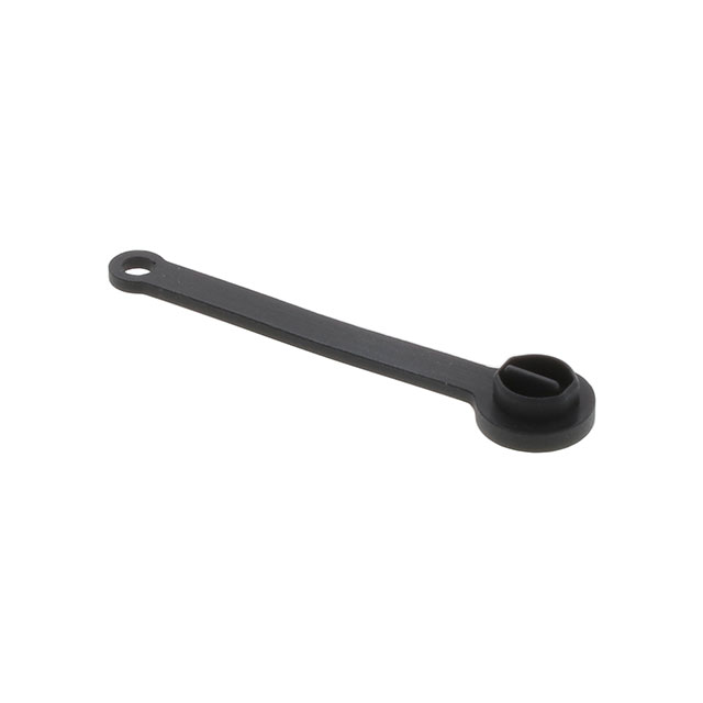 DUST CAP ASSEMBLY