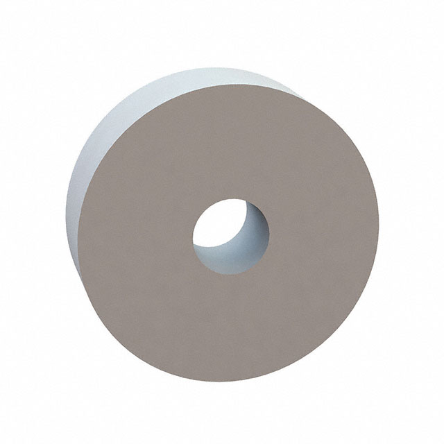 FLAT WASHER, .254 ID, 1.000 OD,