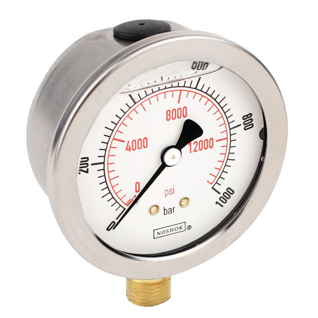 25-901-1-bar/psi-G1/4-DRY-RCP-O2