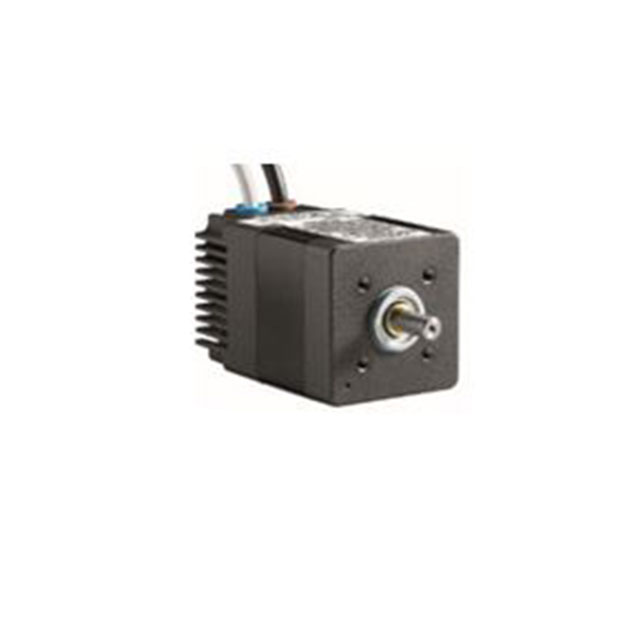STANDARD MOTOR 3000 RPM 12-32V
