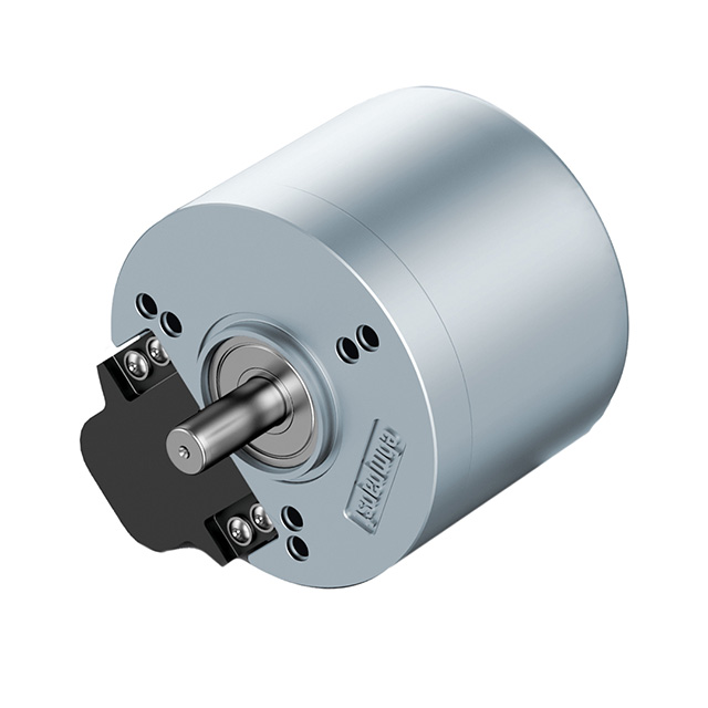 STANDARD MOTOR 4500 RPM 24V