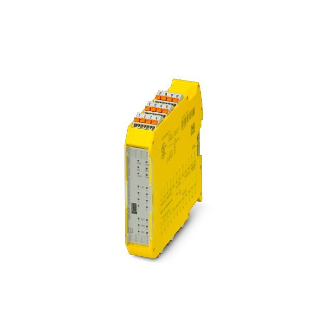 CONFIGURABLE SAFETY MODULE (BASI