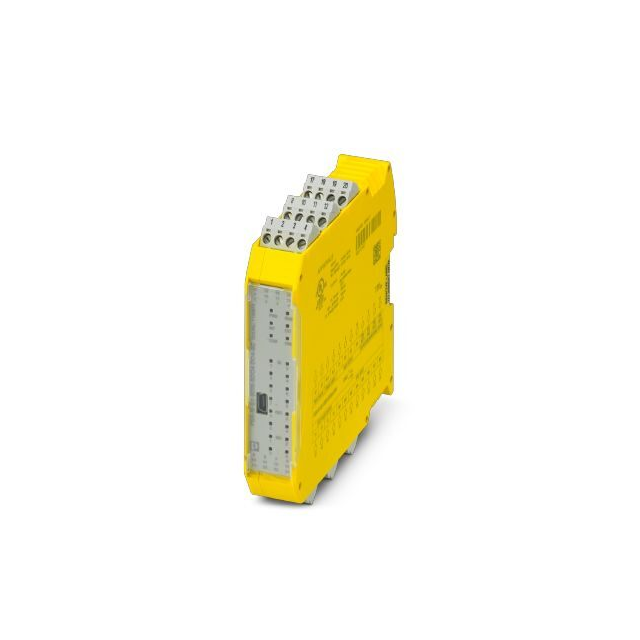 CONFIGURABLE SAFETY MODULE (BASI