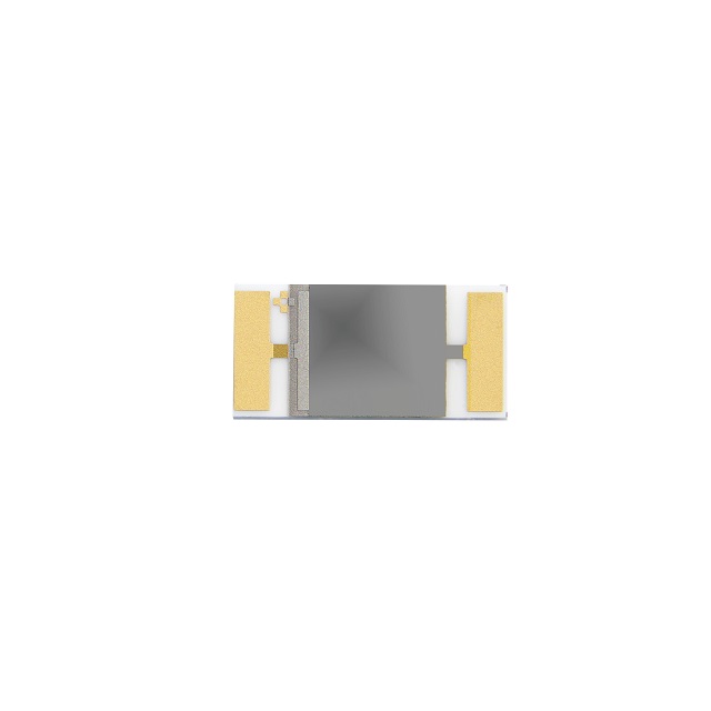 P14 FEMTOCAP-G_5