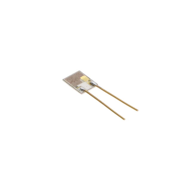 P14 RAPID 2_5