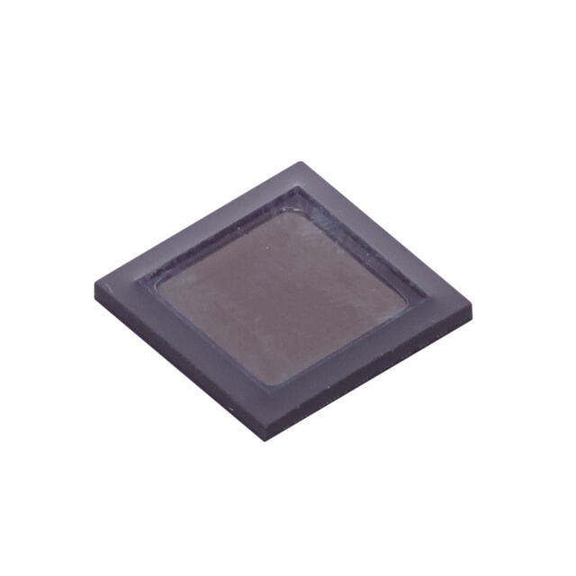DIGITAL IMAGE SENSOR IBGA