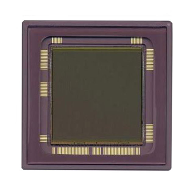 IC IMAGE SENSOR LUPA4000 127PGA