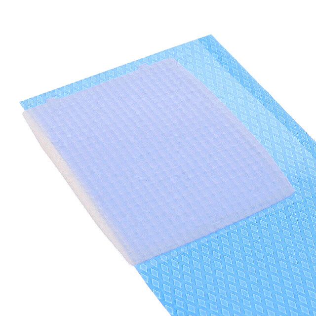 SENTRIUS RS1XX LORA VENT GASKET