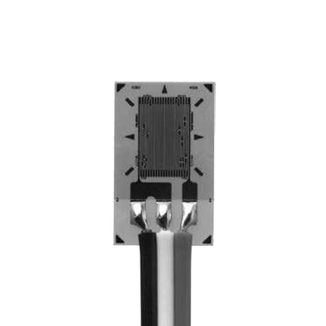 MMF405755