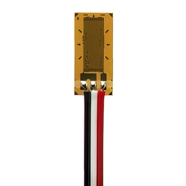 MMF405860