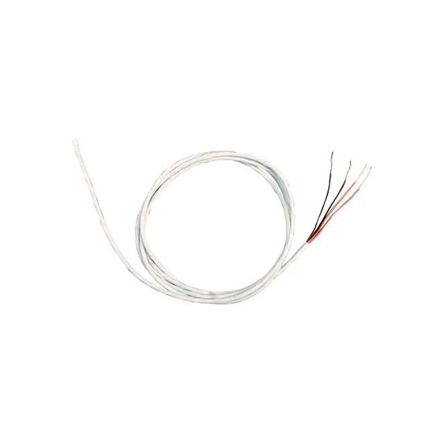 FLEXIBLE SEALED RTD SENSOR, 2 M