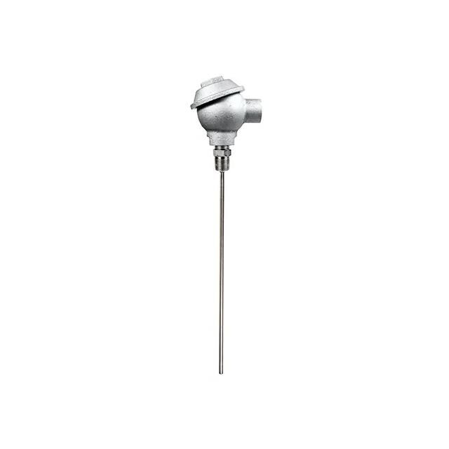 RTD PROBE, CAST IRON PROTECTION