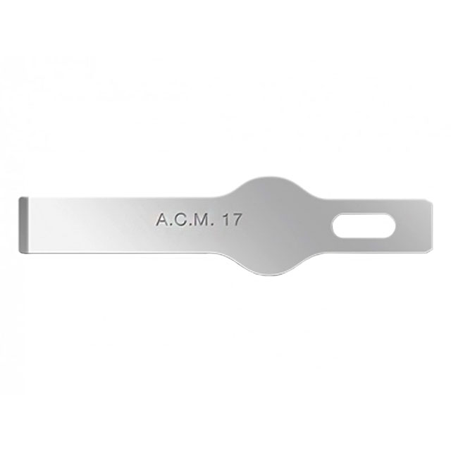 ACM17 SM